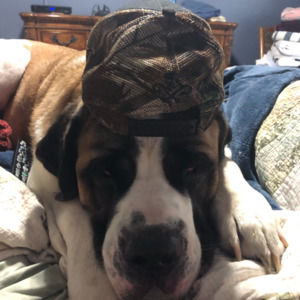 Meet your Posher, Ramiro